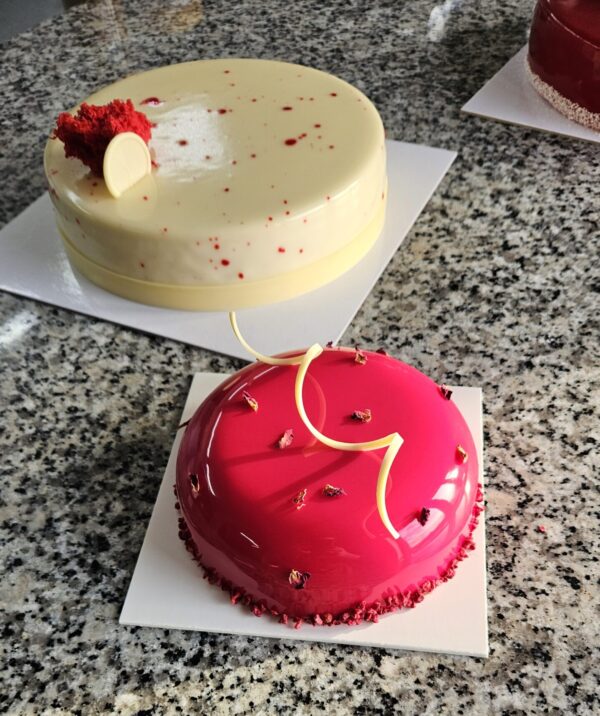 Tort w 24 H